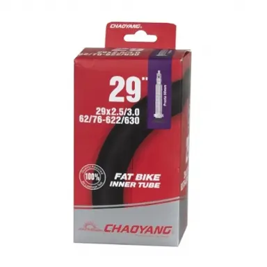 CAMARA 29X2,50/3,00 FV PRESTA 60MM